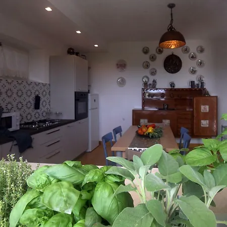 Hotel Parva Sed Apta Mihi